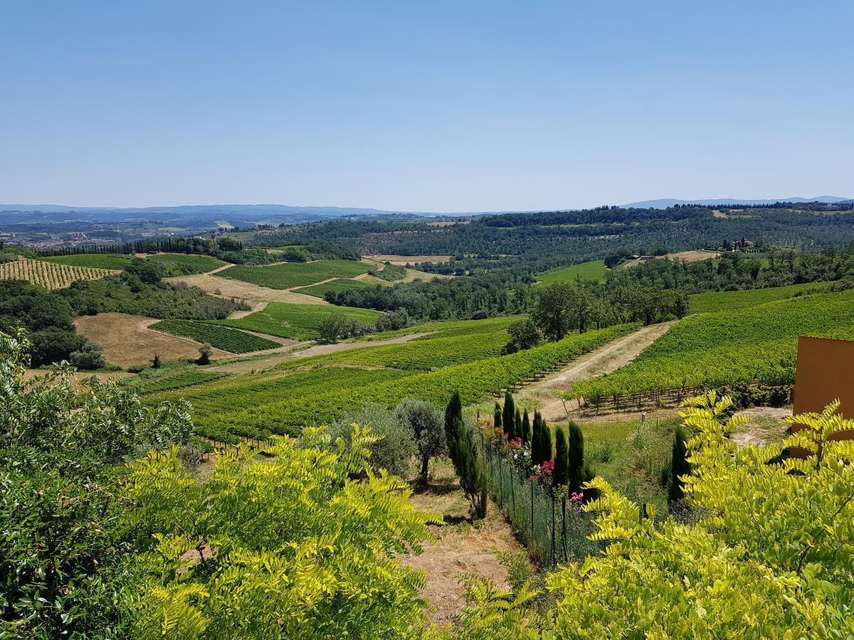 Il Leccio - Casa Toscana San Gimignano Gambassi Terme Εξωτερικό φωτογραφία